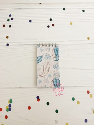 Libreta Plumas azules